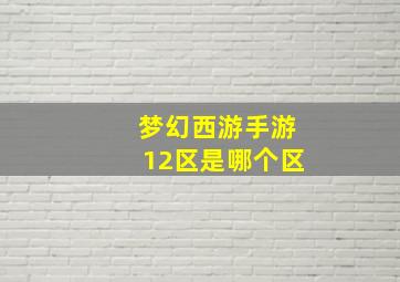 梦幻西游手游12区是哪个区