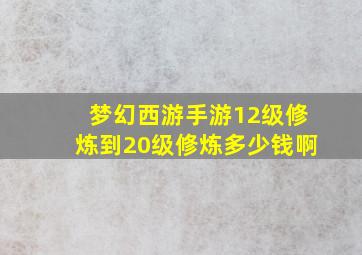 梦幻西游手游12级修炼到20级修炼多少钱啊