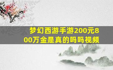 梦幻西游手游200元800万金是真的吗吗视频