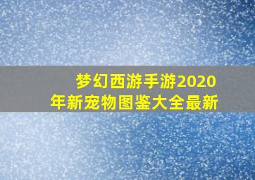 梦幻西游手游2020年新宠物图鉴大全最新