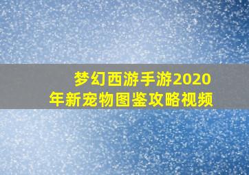 梦幻西游手游2020年新宠物图鉴攻略视频