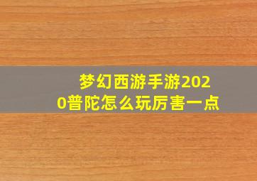 梦幻西游手游2020普陀怎么玩厉害一点