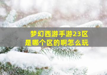 梦幻西游手游23区是哪个区的啊怎么玩