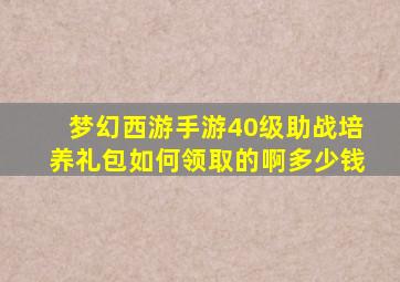 梦幻西游手游40级助战培养礼包如何领取的啊多少钱