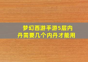 梦幻西游手游5层内丹需要几个内丹才能用