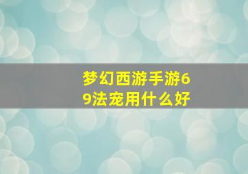 梦幻西游手游69法宠用什么好