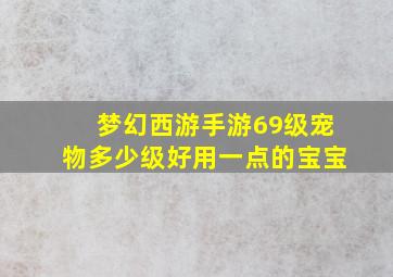 梦幻西游手游69级宠物多少级好用一点的宝宝