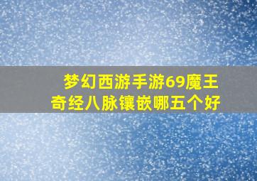 梦幻西游手游69魔王奇经八脉镶嵌哪五个好