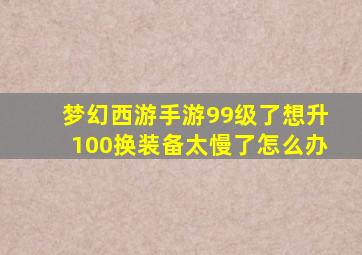 梦幻西游手游99级了想升100换装备太慢了怎么办