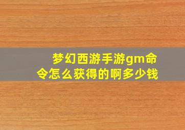 梦幻西游手游gm命令怎么获得的啊多少钱