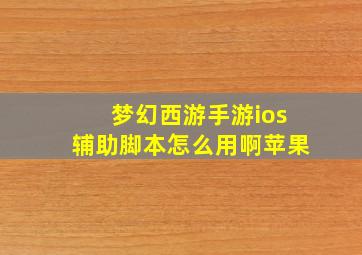 梦幻西游手游ios辅助脚本怎么用啊苹果