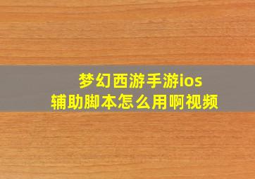 梦幻西游手游ios辅助脚本怎么用啊视频