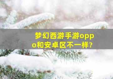 梦幻西游手游oppo和安卓区不一样?