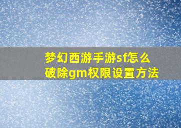 梦幻西游手游sf怎么破除gm权限设置方法