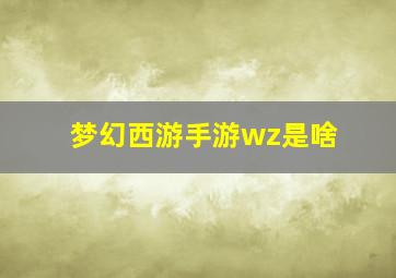 梦幻西游手游wz是啥