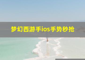 梦幻西游手ios手势秒抢