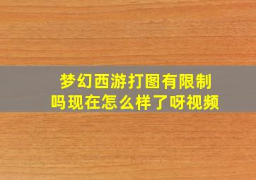 梦幻西游打图有限制吗现在怎么样了呀视频