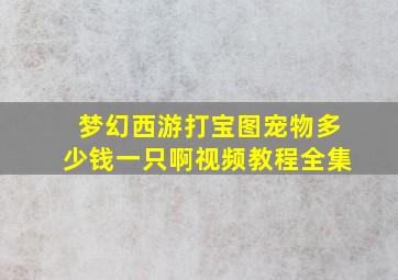 梦幻西游打宝图宠物多少钱一只啊视频教程全集