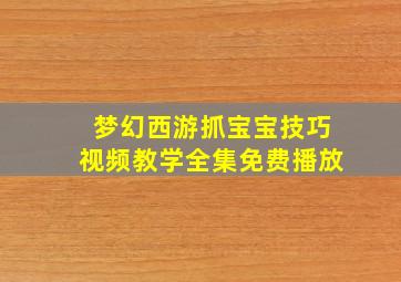 梦幻西游抓宝宝技巧视频教学全集免费播放