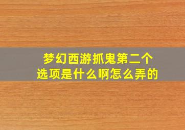 梦幻西游抓鬼第二个选项是什么啊怎么弄的