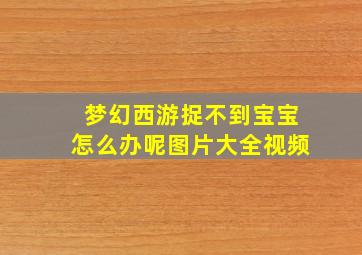 梦幻西游捉不到宝宝怎么办呢图片大全视频