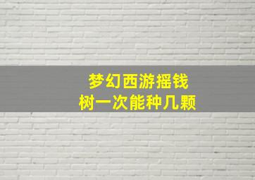 梦幻西游摇钱树一次能种几颗