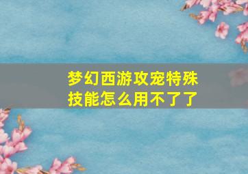 梦幻西游攻宠特殊技能怎么用不了了