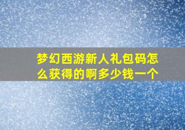 梦幻西游新人礼包码怎么获得的啊多少钱一个