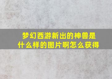 梦幻西游新出的神兽是什么样的图片啊怎么获得