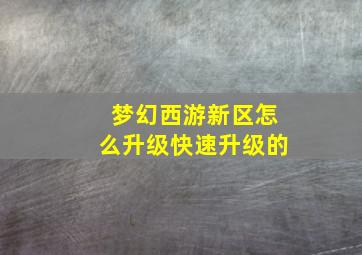 梦幻西游新区怎么升级快速升级的