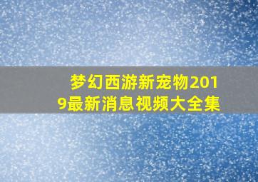 梦幻西游新宠物2019最新消息视频大全集