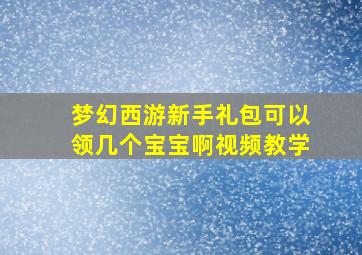 梦幻西游新手礼包可以领几个宝宝啊视频教学