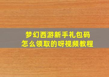 梦幻西游新手礼包码怎么领取的呀视频教程