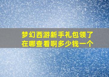 梦幻西游新手礼包领了在哪查看啊多少钱一个