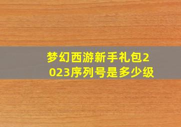 梦幻西游新手礼包2023序列号是多少级