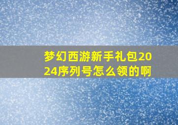 梦幻西游新手礼包2024序列号怎么领的啊