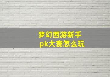 梦幻西游新手pk大赛怎么玩