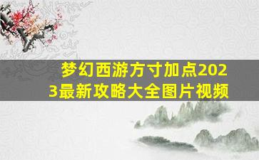 梦幻西游方寸加点2023最新攻略大全图片视频