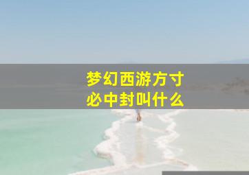 梦幻西游方寸必中封叫什么