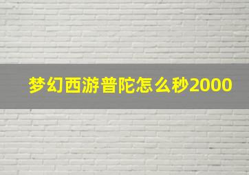 梦幻西游普陀怎么秒2000