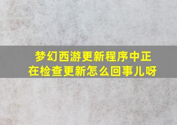 梦幻西游更新程序中正在检查更新怎么回事儿呀