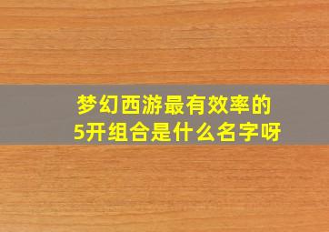 梦幻西游最有效率的5开组合是什么名字呀