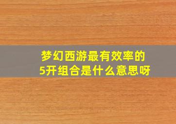 梦幻西游最有效率的5开组合是什么意思呀