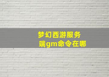 梦幻西游服务端gm命令在哪