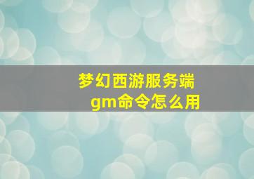 梦幻西游服务端gm命令怎么用