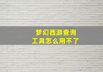 梦幻西游查询工具怎么用不了