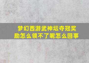 梦幻西游武神坛夺冠奖励怎么领不了呢怎么回事