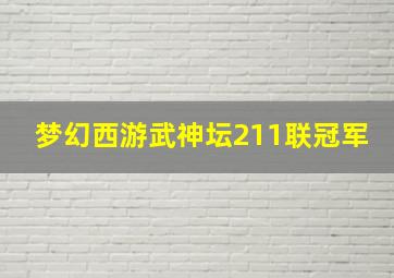 梦幻西游武神坛211联冠军