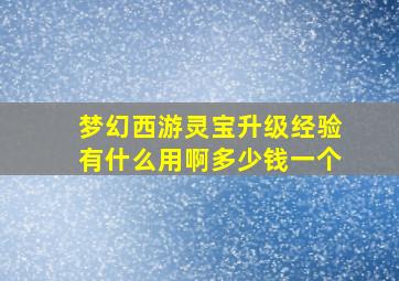 梦幻西游灵宝升级经验有什么用啊多少钱一个