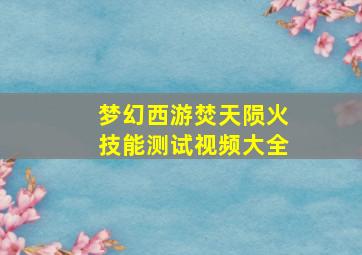 梦幻西游焚天陨火技能测试视频大全